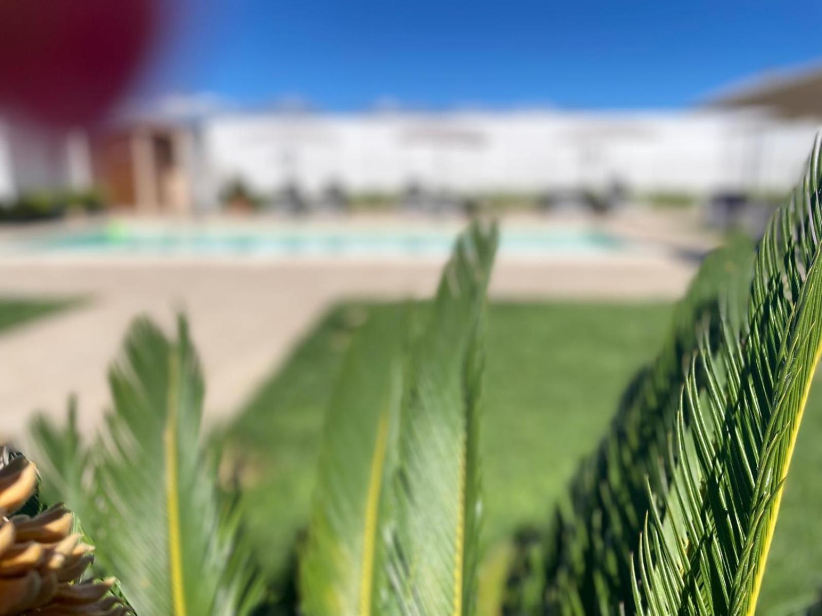 Bisignano Agriturismo Albachiara מראה חיצוני תמונה